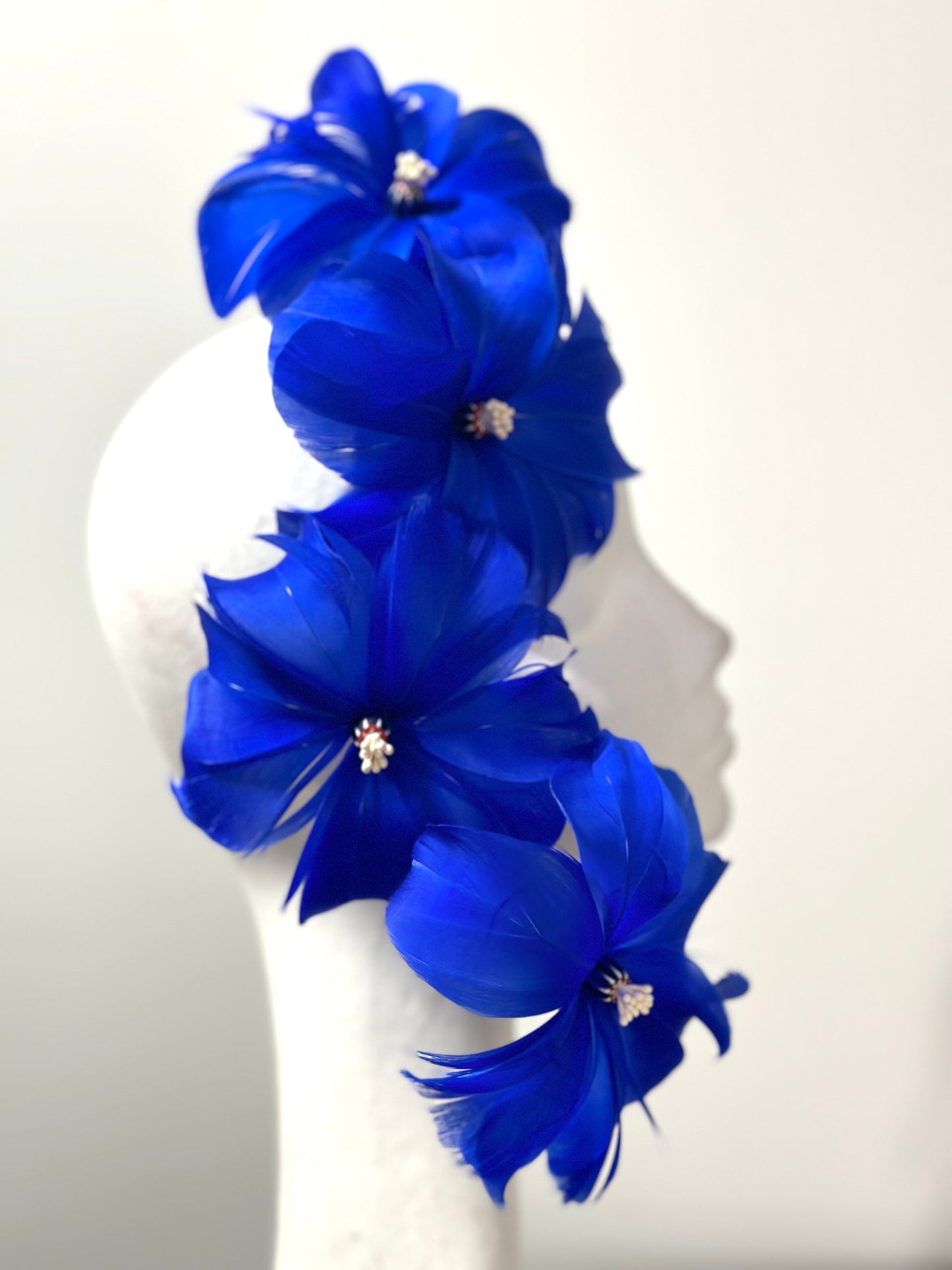 Hibiscus feathers